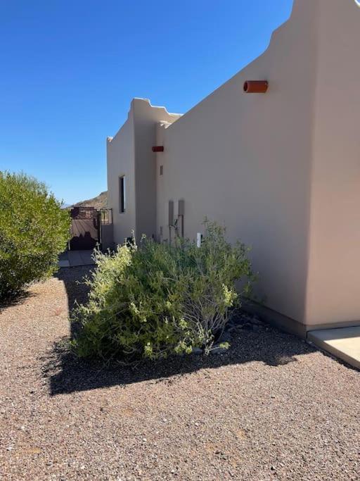 Tucson Mnt Foothills Saguaro Bliss Villa Exterior foto