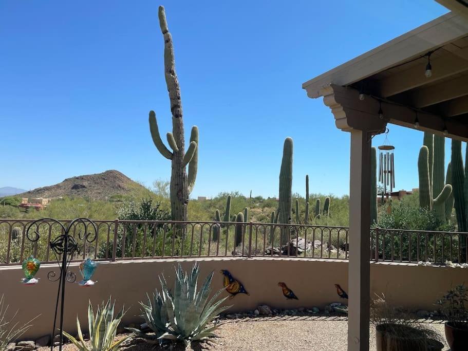 Tucson Mnt Foothills Saguaro Bliss Villa Exterior foto