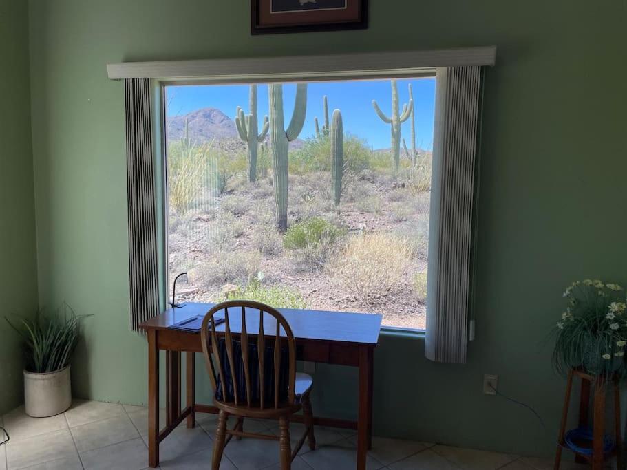 Tucson Mnt Foothills Saguaro Bliss Villa Exterior foto