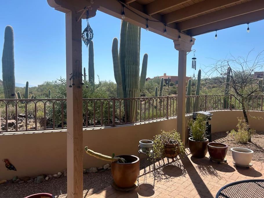 Tucson Mnt Foothills Saguaro Bliss Villa Exterior foto